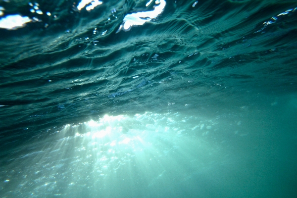 海 海洋 日光 波 写真