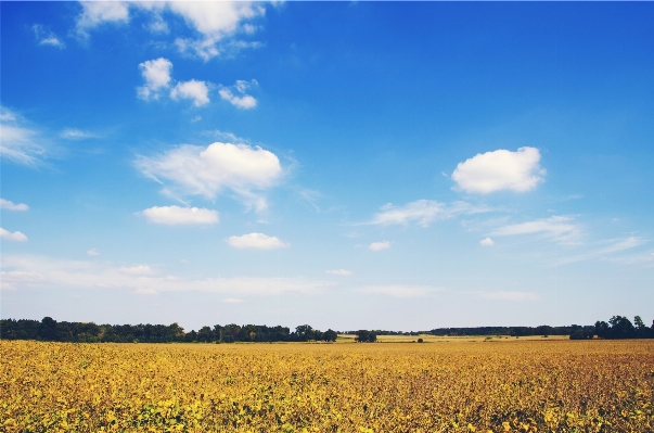 Landscape nature grass horizon Photo