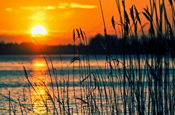 Beach landscape sea water Photo