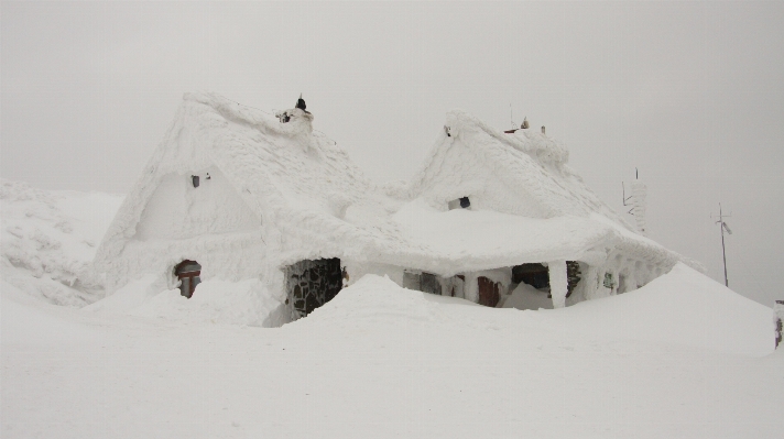 雪 冬 白 家 写真