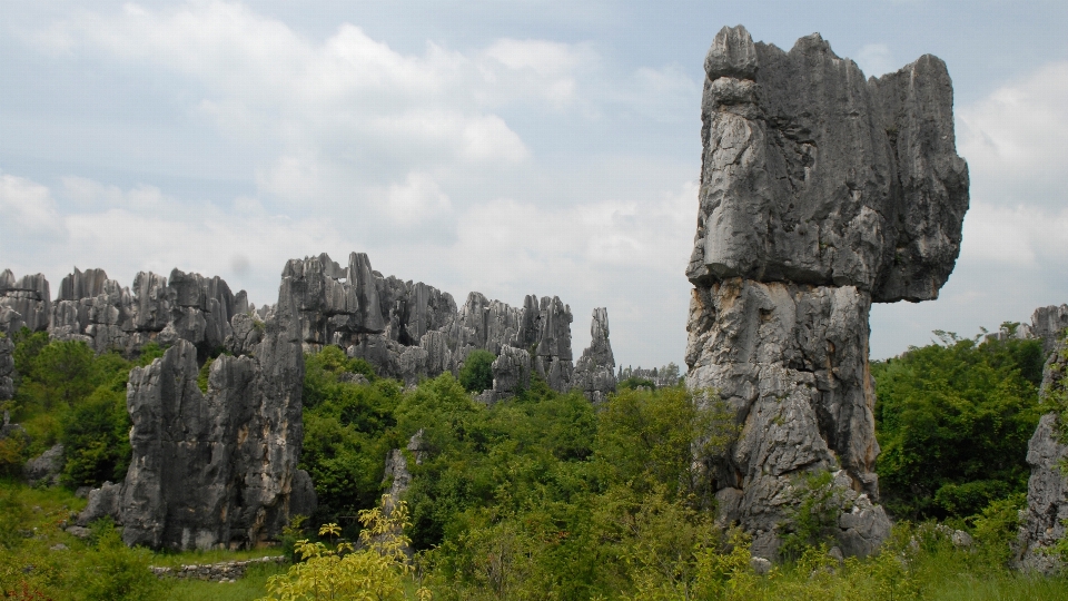 Landschaft baum rock monument