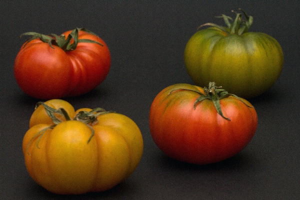 Anlage frucht essen produzieren Foto