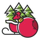 Sleigh Icon