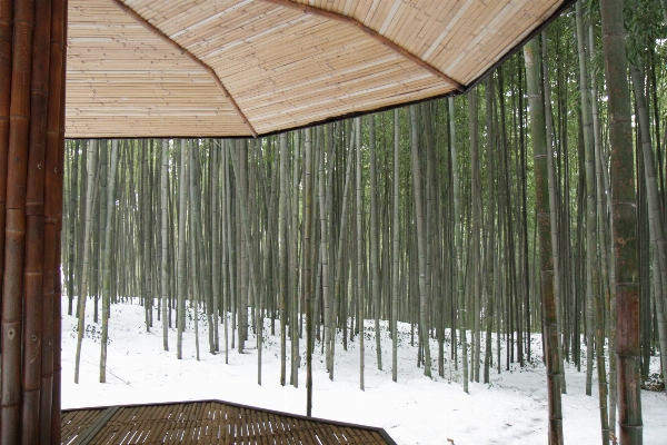 Foto Neve inverno madeira teto