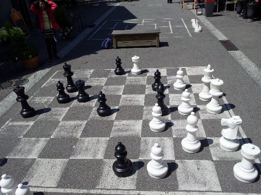 Recreation board game sports chess Photo