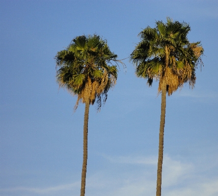 Beach landscape sea coast Photo