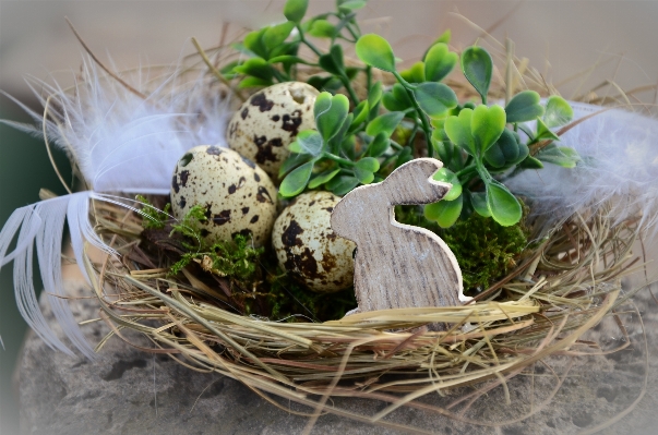 Bird decoration food basket Photo