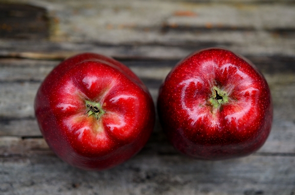 Apple anlage frucht reif
 Foto