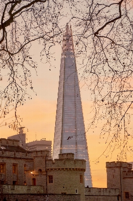 Tree architecture sunset sunlight Photo