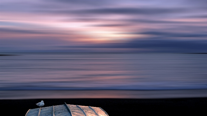 Beach sea coast ocean Photo