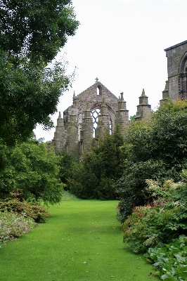 Lawn building chateau castle Photo