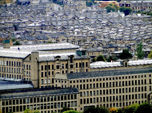 Architecture town building palace Photo