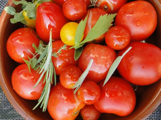 Foto Planta fruta plato alimento