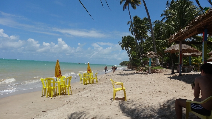 Beach sea coast nature Photo