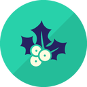 Mistletoe Icon