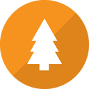 Christmas tree Icon