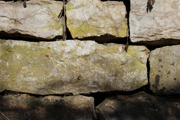 Nature rock structure wood Photo