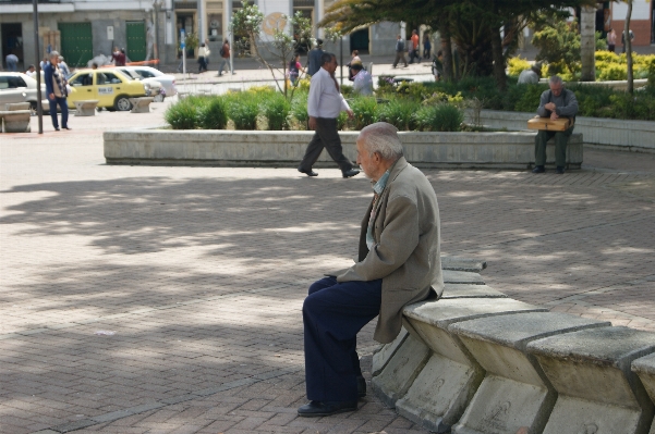 Man pedestrian person people Photo