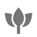 Lotus Icon