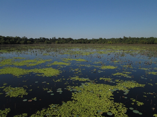 Water nature outdoor marsh Photo