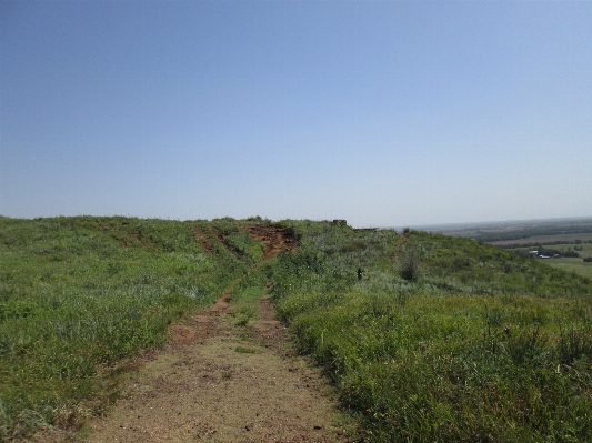 Landschaft natur weg gras Foto