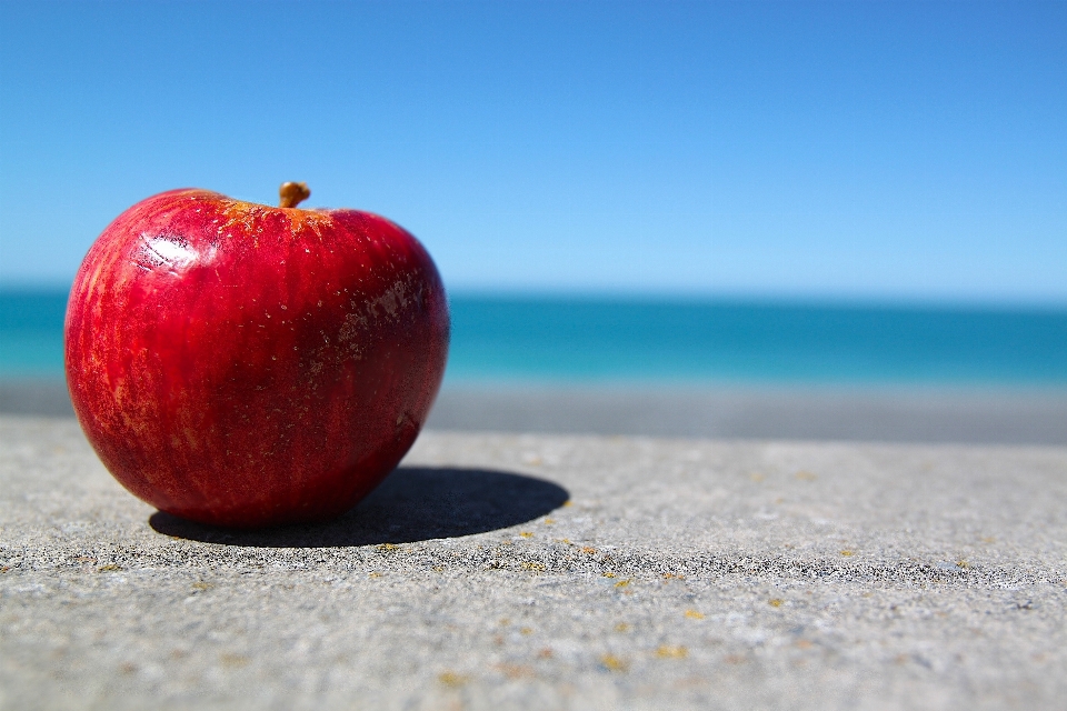 Apple pianta cielo frutta