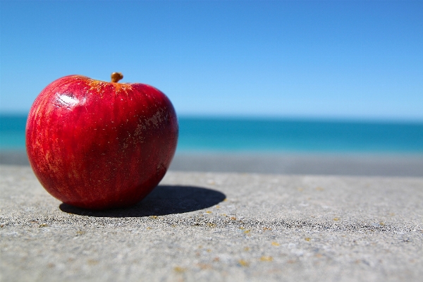 Apple 植物 空 フルーツ 写真