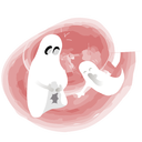 Ghost Icon