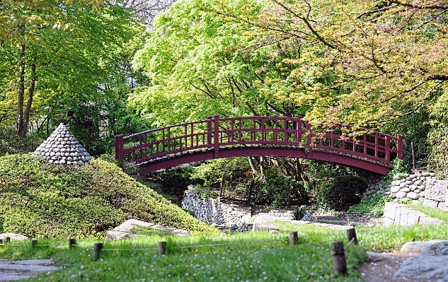 Bridge flower france arch Photo