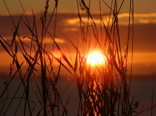 Sea nature outdoor horizon Photo