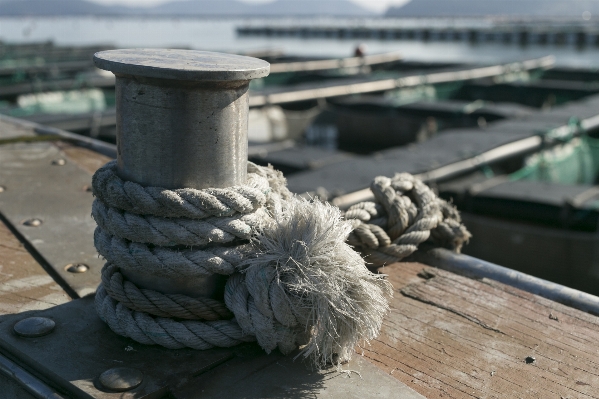 Beach sea wood wheel Photo