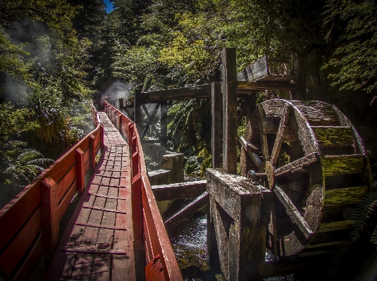 Landscape nature bridge autumn Photo