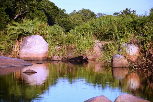 Landscape tree water nature Photo