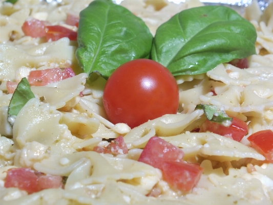 Gericht mahlzeit essen salat Foto