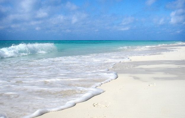 Beach sea coast sand Photo