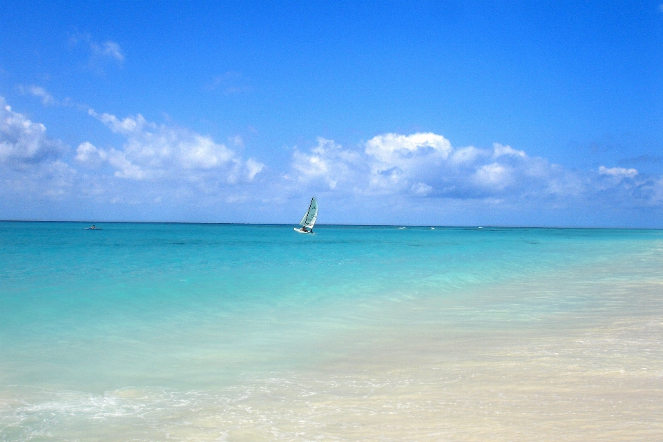 海滩 景观 海 海岸