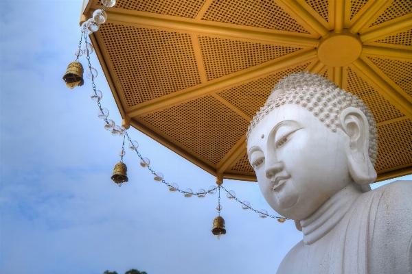 Foto Veículo budismo têmpora estátuas de buda
