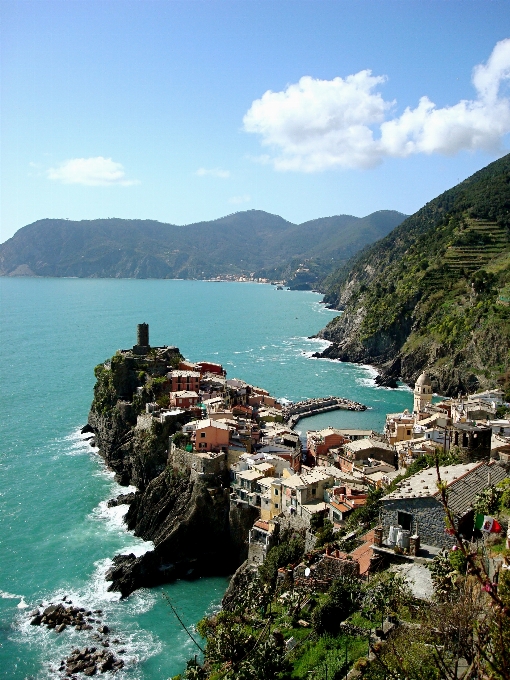 風景 海 海岸 木