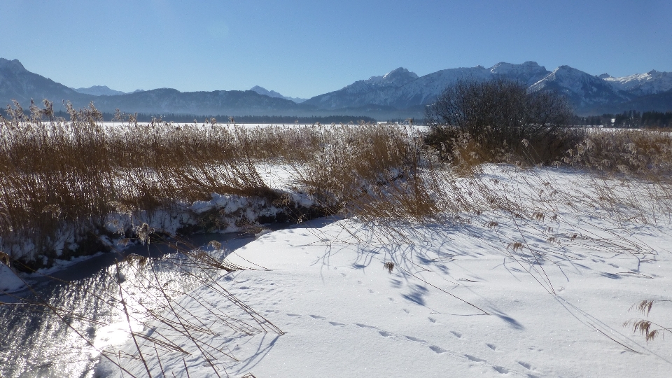 Wildnis
 berg schnee winter