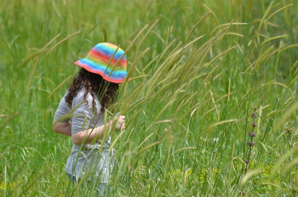 Grass plant girl field Photo