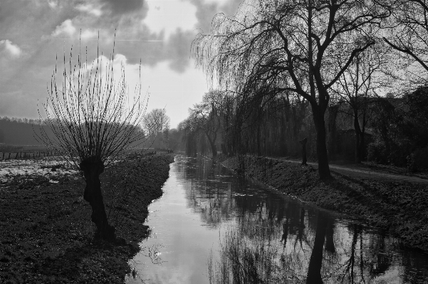 Landscape tree water nature Photo