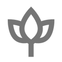 Lotus Icon