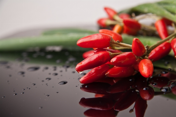 Sharp berry food chili Photo