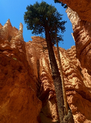 Landscape nature rock wilderness Photo