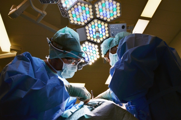 生物学 プロ 健康 楽器 写真