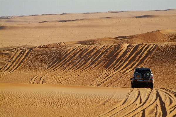 Landscape sand field desert Photo