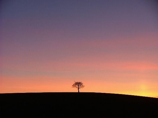 Landscape tree horizon silhouette Photo