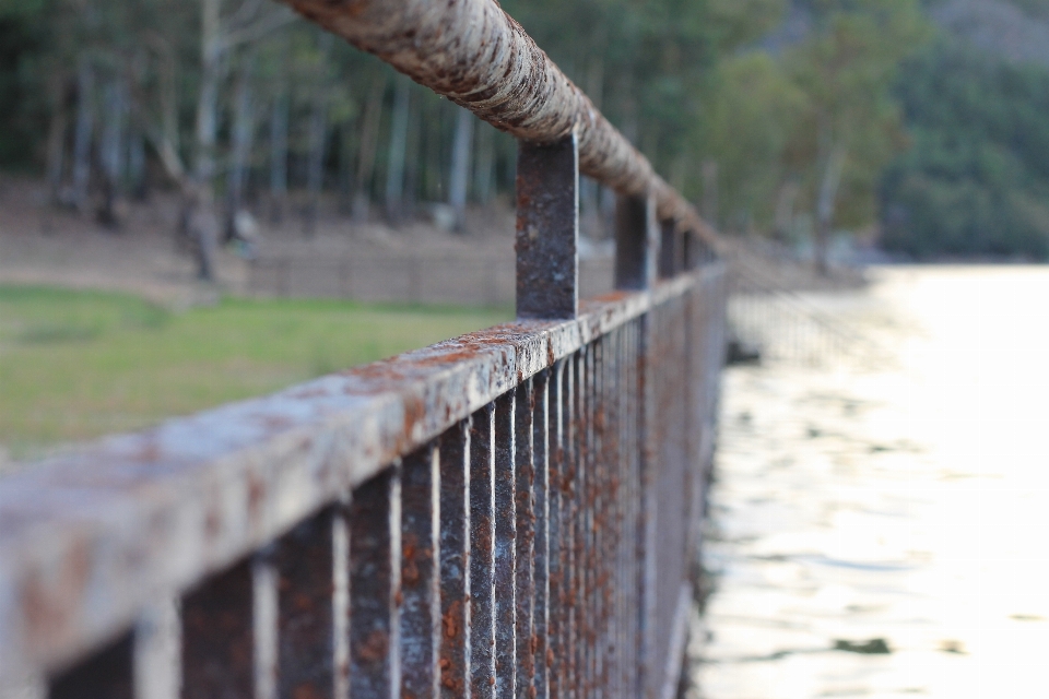 Wasser natur wald sumpf
