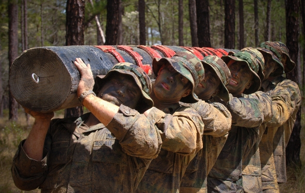 Work military log soldier Photo