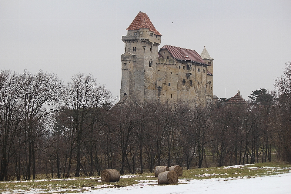 Neve inverno prédio castelo
